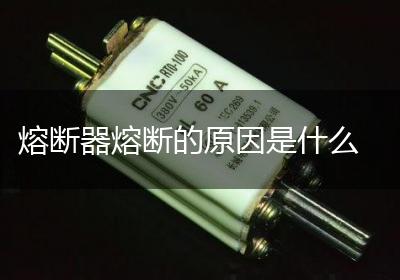 熔断器熔断的原因是什么