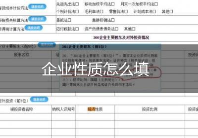 企业性质怎么填