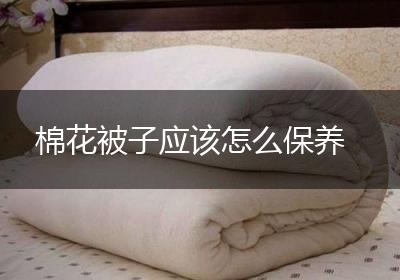 棉花被子应该怎么保养