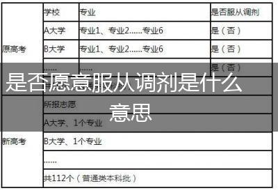 是否愿意服从调剂是什么意思