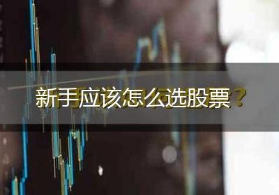 新手应该怎么选股票