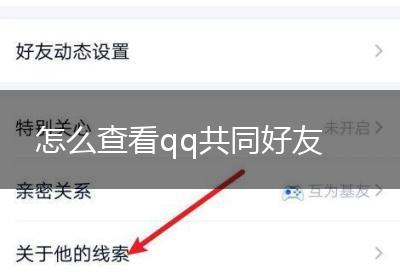 怎么查看qq共同好友
