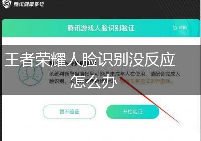 王者荣耀人脸识别没反应怎么办