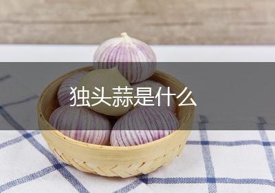 独头蒜是什么