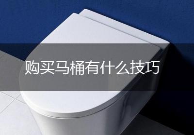 购买马桶有什么技巧