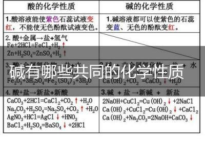 碱有哪些共同的化学性质