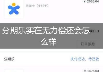 分期乐实在无力偿还会怎么样