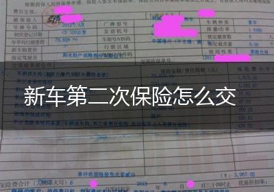 新车第二次保险怎么交