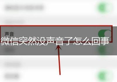 微信突然没声音了怎么回事