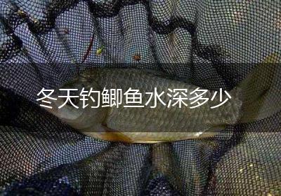 冬天钓鲫鱼水深多少