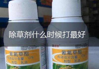 除草剂什么时候打最好
