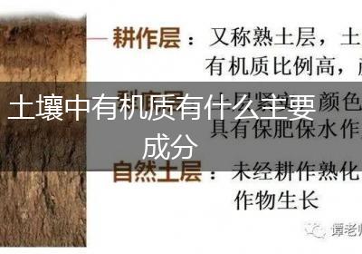 土壤中有机质有什么主要成分
