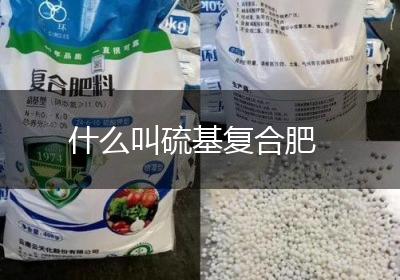 什么叫硫基复合肥