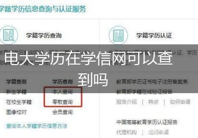 电大学历在学信网可以查到吗