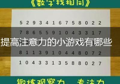 提高注意力的小游戏有哪些