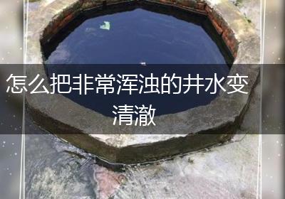 怎么把非常浑浊的井水变清澈