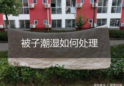 被子潮湿如何处理