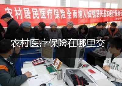 农村医疗保险在哪里交