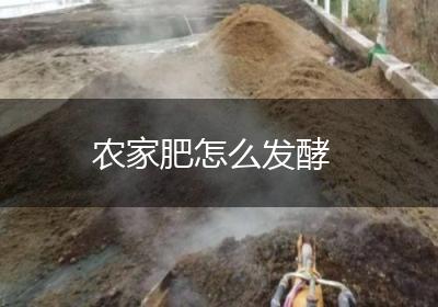 农家肥怎么发酵