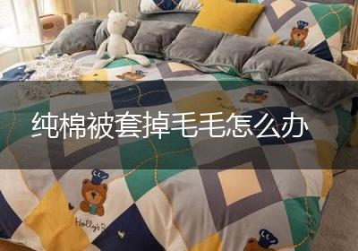 纯棉被套掉毛毛怎么办