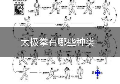 太极拳有哪些种类