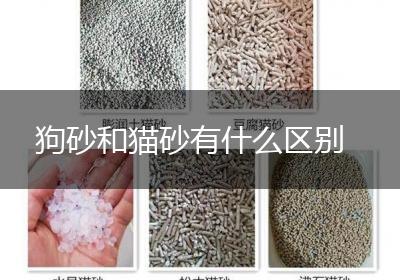 狗砂和猫砂有什么区别