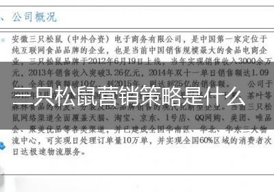 三只松鼠营销策略是什么