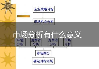 市场分析有什么意义