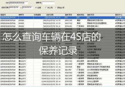 怎么查询车辆在4S店的保养记录