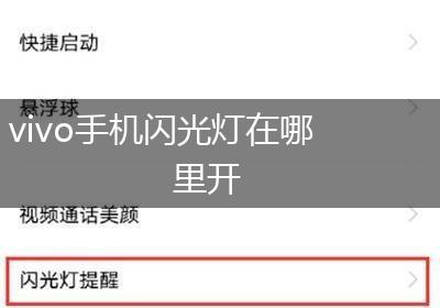 vivo手机闪光灯在哪里开