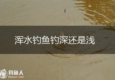 浑水钓鱼钓深还是浅