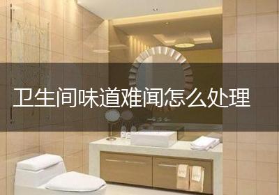 卫生间味道难闻怎么处理
