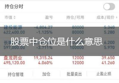 股票中仓位是什么意思