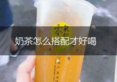 奶茶怎么搭配才好喝