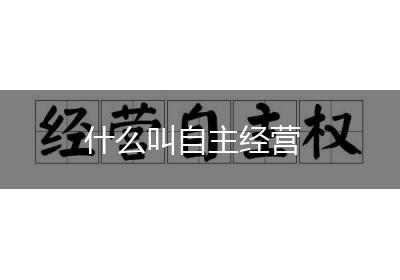 什么叫自主经营