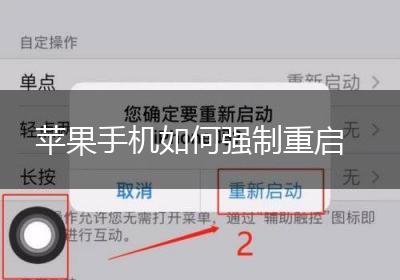 苹果手机如何强制重启