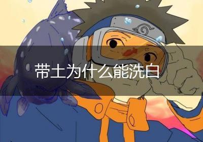 带土为什么能洗白