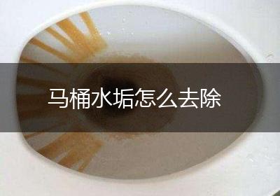 马桶水垢怎么去除