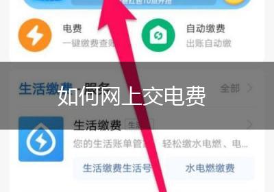 如何网上交电费