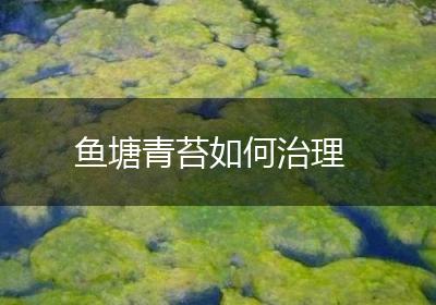 鱼塘青苔如何治理