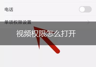 视频权限怎么打开