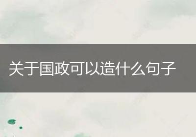 关于国政可以造什么句子