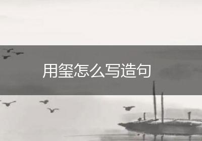 用玺怎么写造句