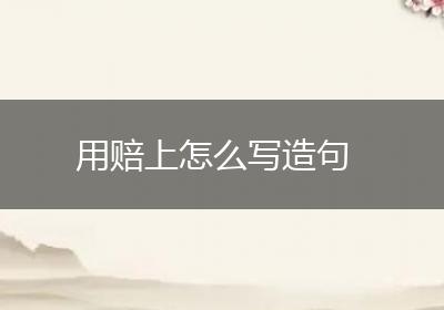 用赔上怎么写造句