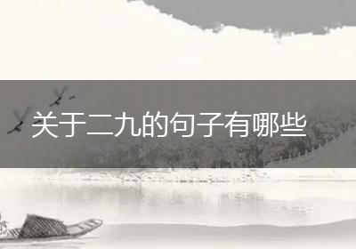 关于二九的句子有哪些