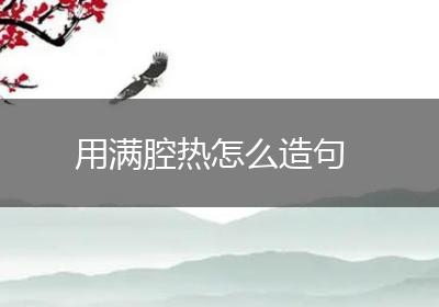 用满腔热怎么造句