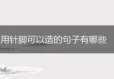 用针脚可以造的句子有哪些