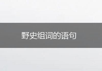 野史组词的语句
