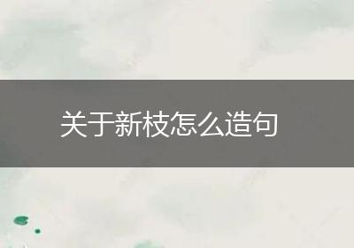 关于新枝怎么造句