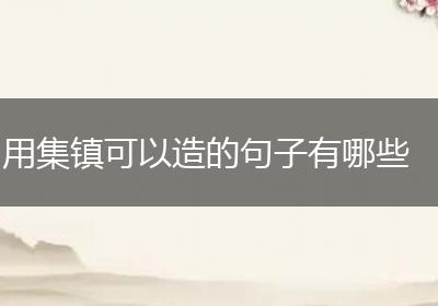 用集镇可以造的句子有哪些